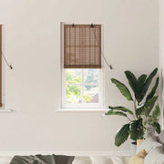 vidaXL Tende e Tapparelle per Finestre Marrone 60 x 160 cm Bambù