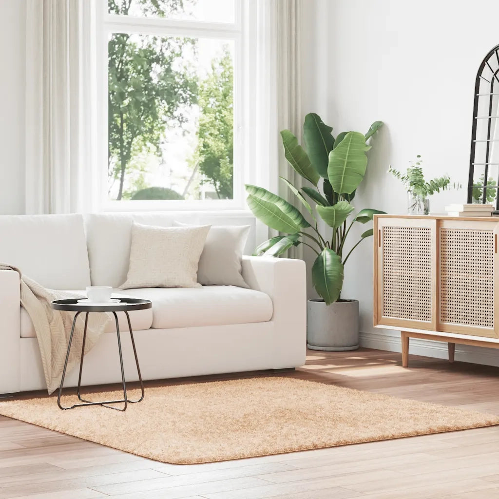 Tappeto del soggiorno | Tappeto Shaggy a Pelo Lungo NAVARRA Beige 160x160 cm poliestere