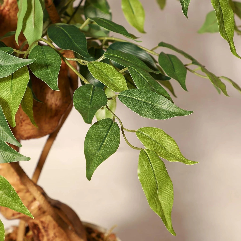 Ficus Lyrata Artificiale 180 cm con Tronco Curvo Foglie in Seta e Vaso Bianco