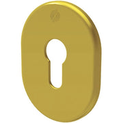 MOSTRINA PORTA BLINDATA 4302 SECUREMME - F.SAGOM OTTONE LUCIDO MM 62X82- 5 pezzi