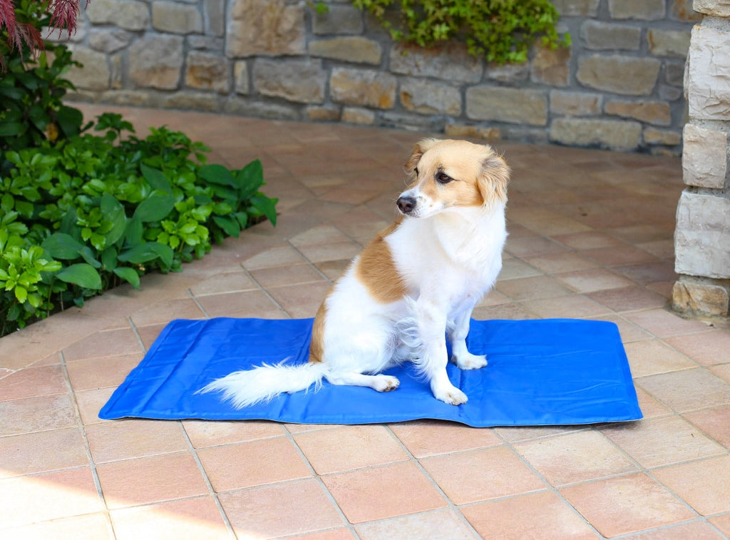 Tappetino Riscaldante 64x49 cm per Cani e Gatti Panna