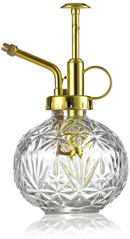 Spazzola per piante in vetro - design retrò - 240 ml - trasparente con bocchetta dorata