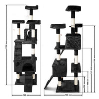 Albero tiragraffi nero 170 cm con piattaforme, cuccette e scale
