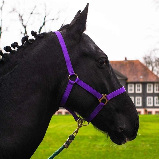 Accessori per Hobby Horse - Halstertouw - Accessori per Hobby Horse - Halstertouw - Accessori per Hobby Horse