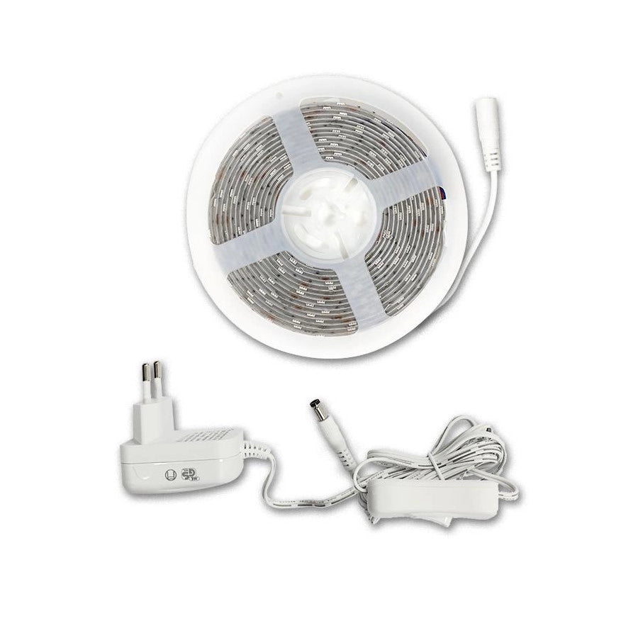 KIT STRISCIA LED 5 MT 24W 12V 2100 LM naturale