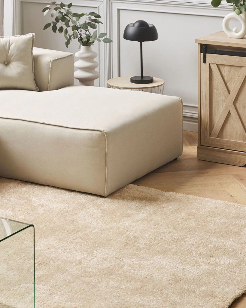 Tappeto Shaggy Beige 200 x 300 cm Moderno Tappeto Rettangolare Trapuntato a Pelo Lungo