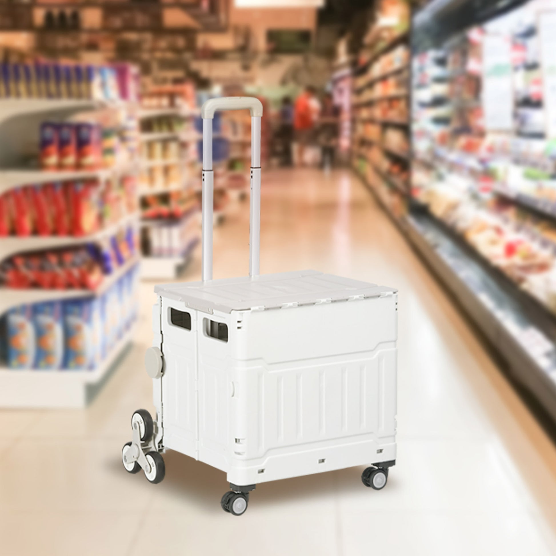 Carrello per Spesa Pieghevole con RuoteSaliscale in Alluminio Bianco