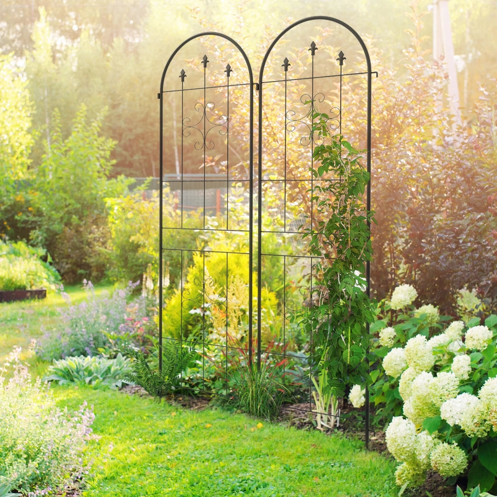 Griglia per rampicanti da giardino 2 pezzi ¨C zephmum ¨C acciaio 50x180 cm nero