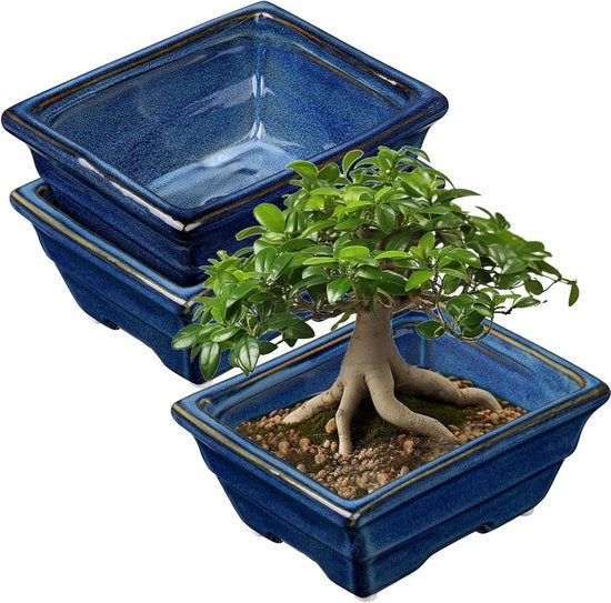 Set di 2 vasi per bonsai a basso profilo per piante succulente da 16cm/6.3 pollici vaso ceramico per piante succulente indoor con foro di drenaggio