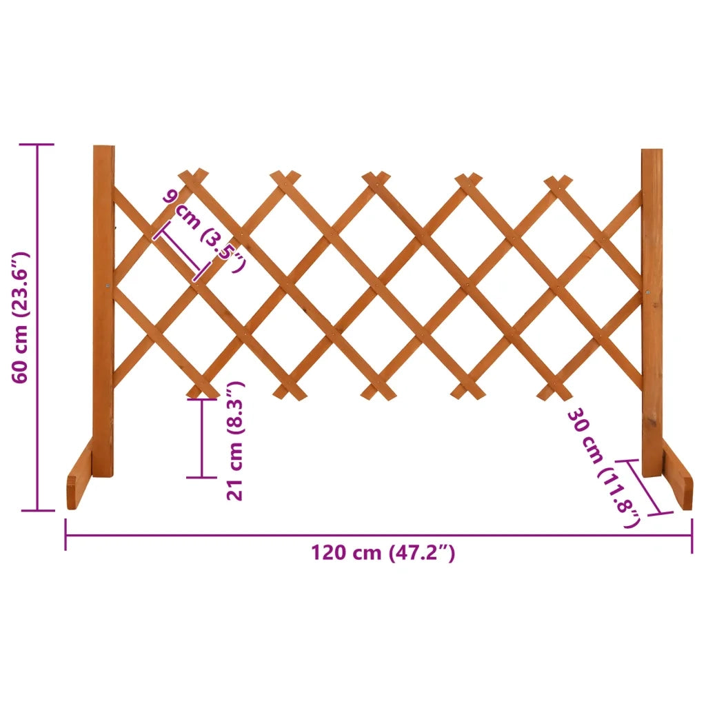 Traliccio da Giardino Arancione 120x60 cm Massello di Abete 314822