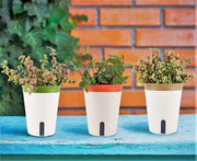 Pianta da 3 pezzi autosorvente - Piatto da piante in plastica rotondo da 12,5 cm - Piantine per fiori bonsai per aloe, erbe, orchidee, succulenti - con finestra di livello di acqua e foro di drenaggio cassetta nascosta