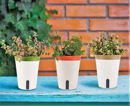Pianta da 3 pezzi autosorvente - Piatto da piante in plastica rotondo da 12,5 cm - Piantine per fiori bonsai per aloe, erbe, orchidee, succulenti - con finestra di livello di acqua e foro di drenaggio cassetta nascosta