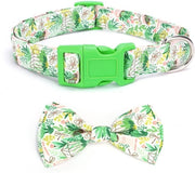 Collare per Cane Adattabile - Cerniera Rimovibile - Idoneo per Cani Piccoli/Mediani/Grandi - Cerniera S/M/L - Larghezza 1,5/2/2,5 cm