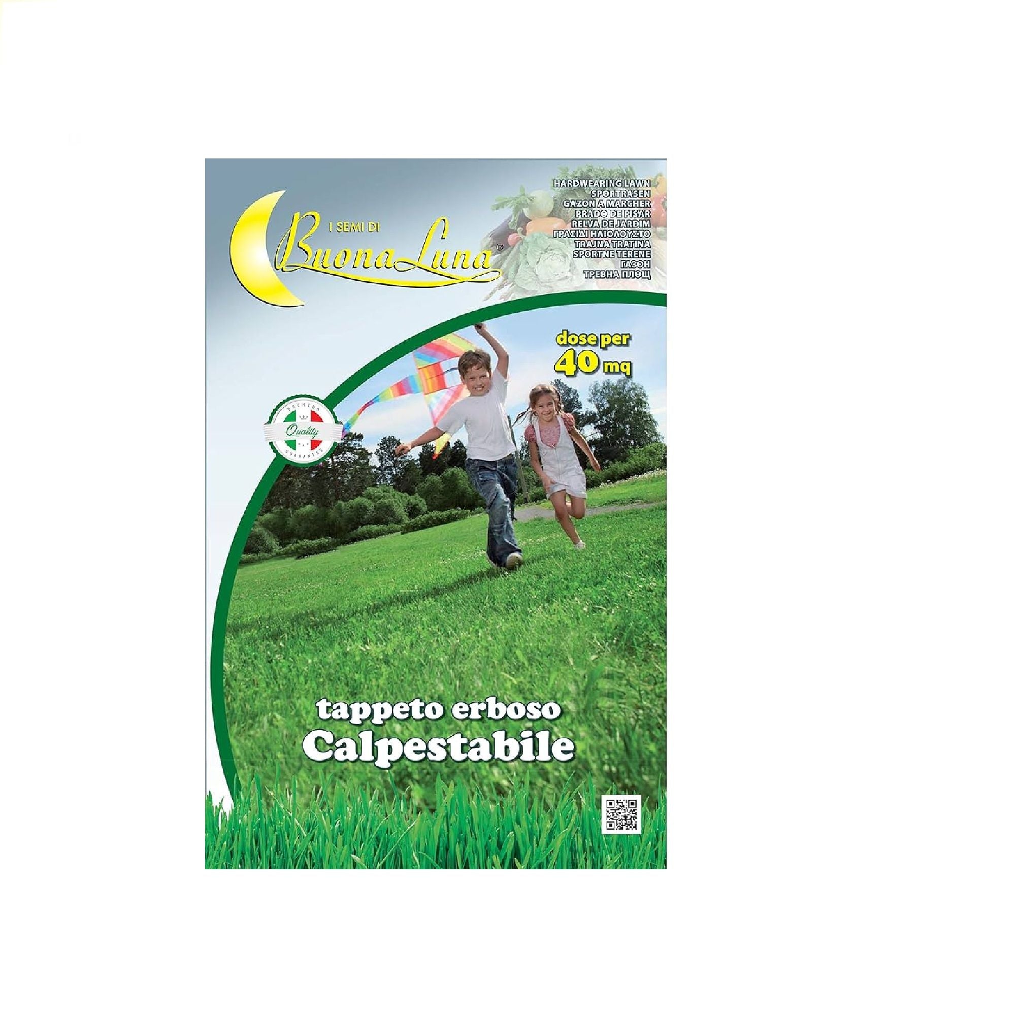 Semi di prato calpestabile 1 kg resistenti al calpestio siccità ombra mix sementi rapida germinazione tappeto erboso