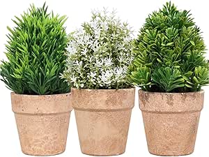 Piantine Artificiali Set 3 Pz In Scatola Trasparente Di Acetato King Home 