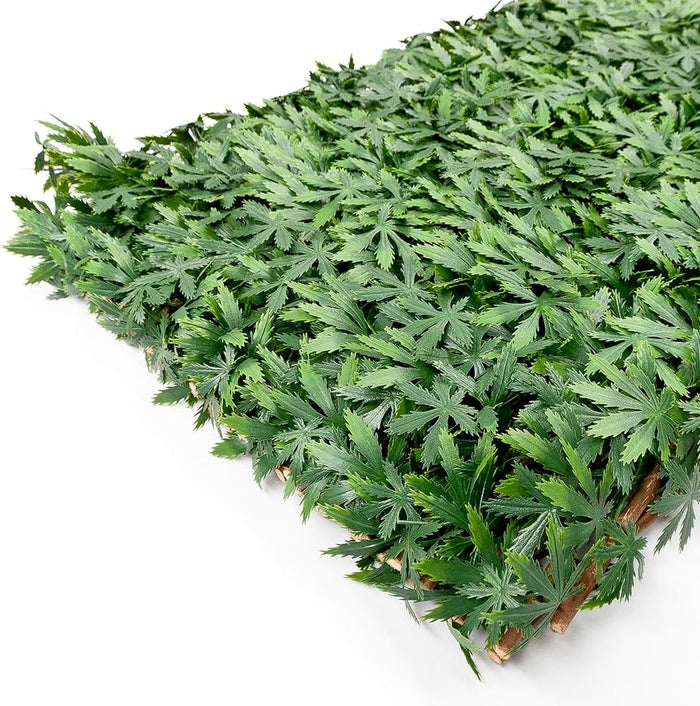 Siepe Artificiale Estensibile Foglie 3D Recinto 100x200 Cm Separè Divisore Traliccio Legno