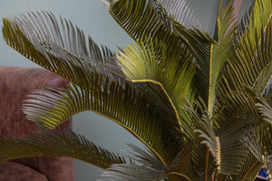 Cycas Artificiale con Vaso Altezza 93 cm Verde