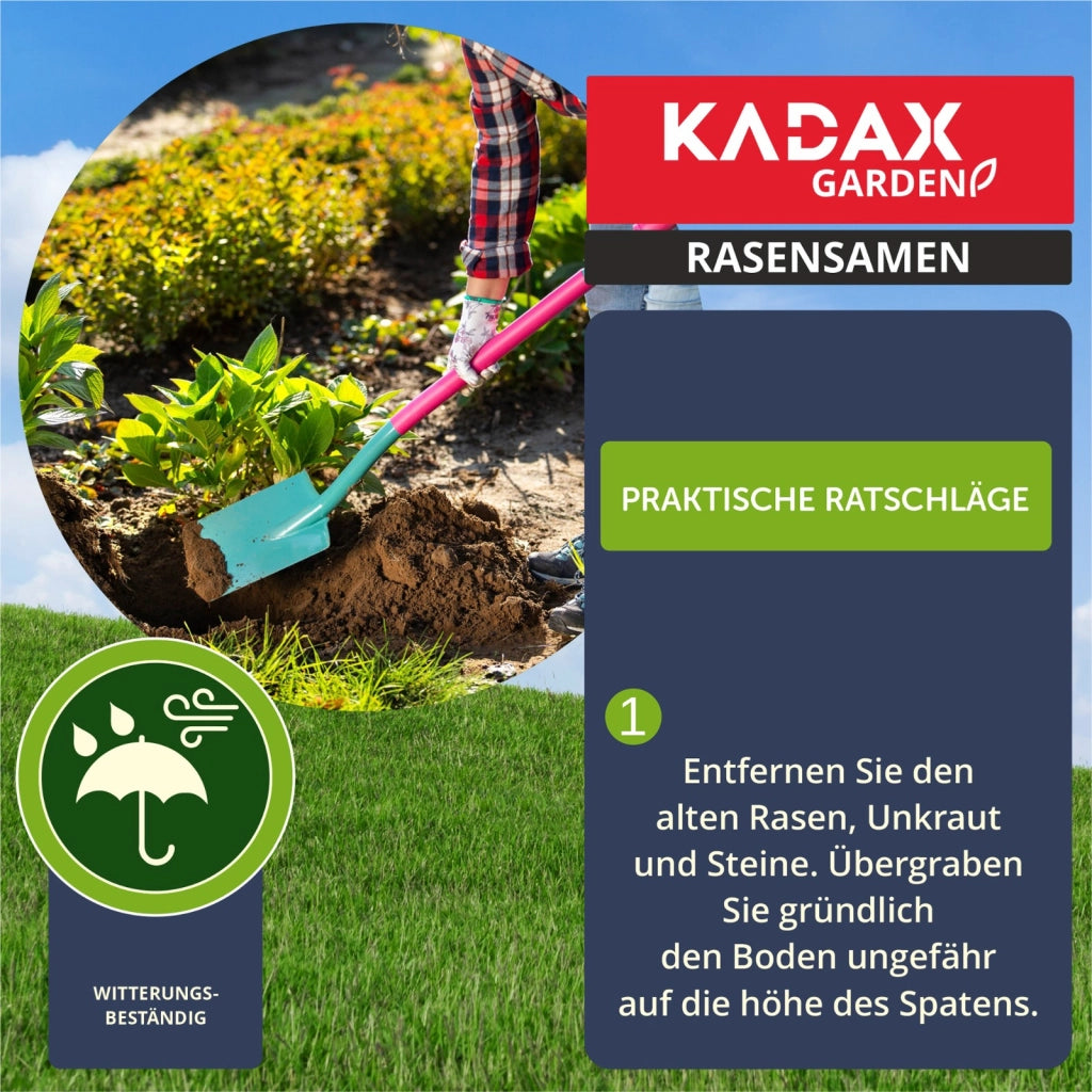 Semi per prato KADAX 3 kg Universali Autocompattanti Resistenti al calpestio 120 m²