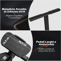 Stepper Fitness con Manubrio Regolabile in Altezza, Display LCD, Pedali Antiscivolo e Resistenza Idraulica, Stepper in Metallo, ABS, PP e EVA per Casa, Ufficio e Palestra