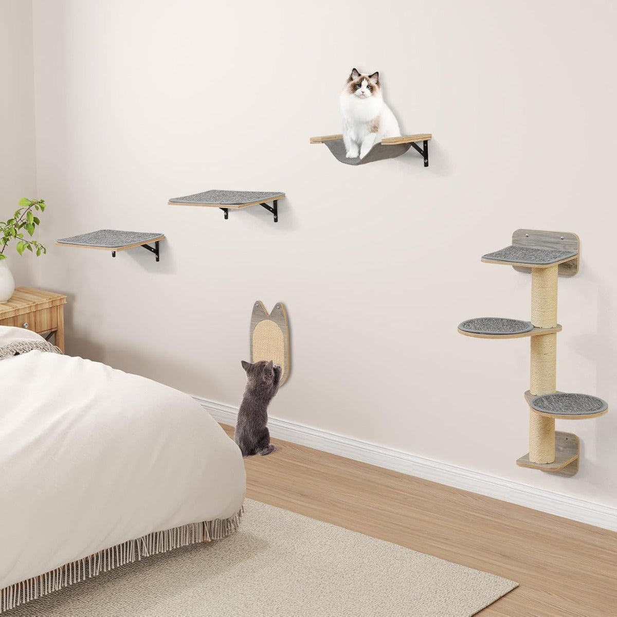 Set di torre per gatti a muro salvaspazio e centro attivit¨¤ per gatti e gattini, Mobili per gatti con 4 livelli Grigio-Alberi Tiragraffi