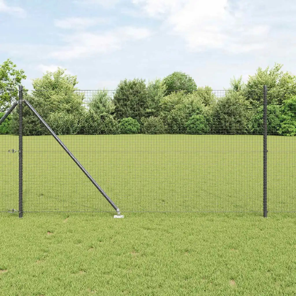 Palo della recinzione Grigio 50 x 1 m (rete da 25 x 25 mm)