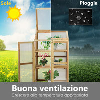 Mini Serra da Giardino a 3 Ripiani in Legno, Serra da Esterno e Interno per Piante e Orto con Coperchio e Ante Apribili, Mini Serra da Giardino e Balcone, 60 x 45 x 100 cm