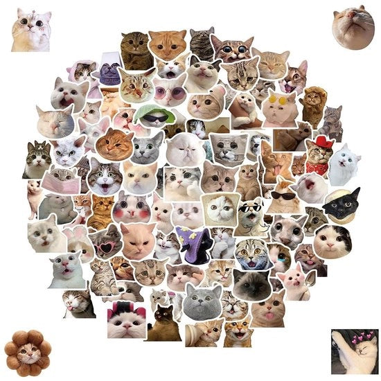 Set di adesivi per gatti 100 pezzi - Adesivi in vinile idrorepellenti - Adesivi divertenti - Adesivi per appassionati di gatti - Adesivi per album di collezione - Qualità premium