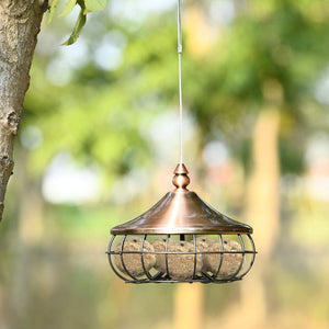 Mangiatoia Uccelli per Giardino da Appendere, Interno e Esterno, in Plastica e Acciaio Inox, Forma di Lampada, 17x17x14cm