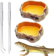 Scaletta alimentare decorazione per terrario - ciotola alimentare per rettili - formato piccolo - inclusa pinza - adatto per lucertole, topi, gechi, tartarughe.