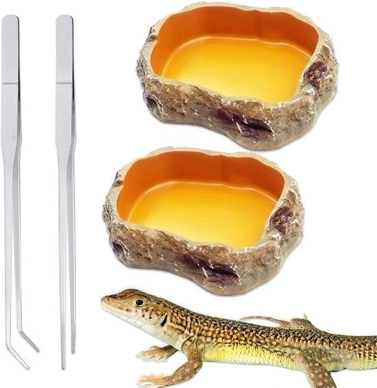 Scaletta alimentare decorazione per terrario - ciotola alimentare per rettili - formato piccolo - inclusa pinza - adatto per lucertole, topi, gechi, tartarughe.