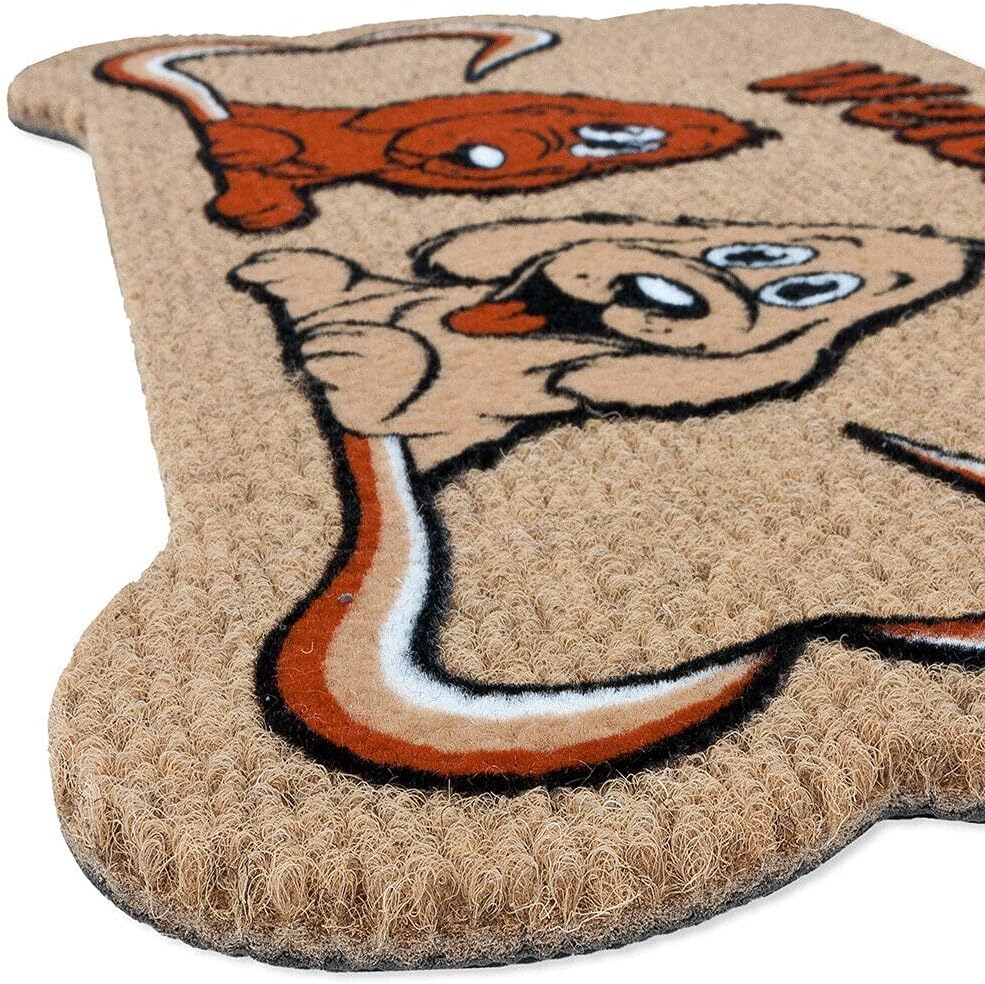 Zerbino Ingresso Antiscivolo Asciugapassi Entrata Assorbente Rettangolare 40X70 cm Dis.B