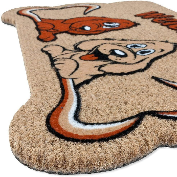 Zerbino Ingresso Antiscivolo Asciugapassi Entrata Assorbente Rettangolare 40X70 cm Dis.B