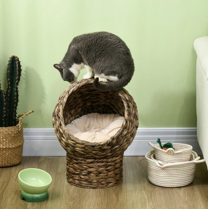 Cuccia rialzata per gatti in giacinto d’acqua con cuscino