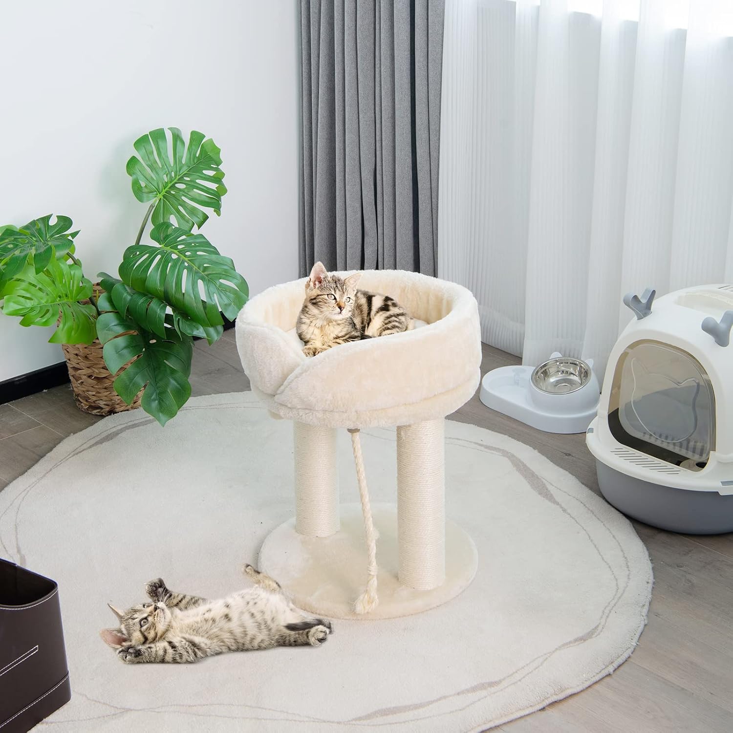 Tiragraffi per Gatti, Albero Tiragraffi Gatto con Cuccia in Peluche, Pallina, Corde e Tiragraffi in Sisal, Tiragraffi da Divano in Legno per Gatti Piccoli, 43 x 43 x 53 cm (Beige)