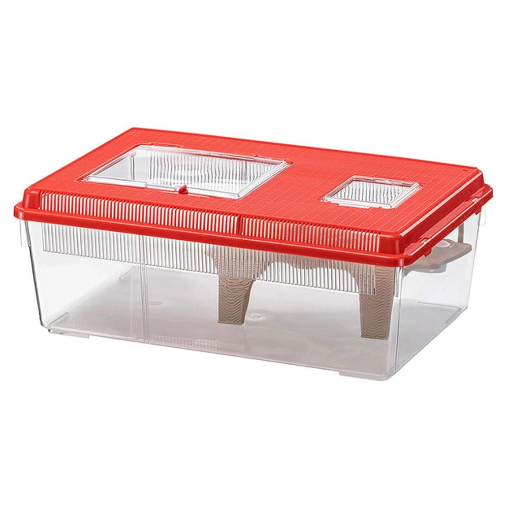 Ferplast Geo Flat Large Vaschetta/Terrario in Plastica con Coperchio + Aperture - Capacità 8 Litri  Misure cm 46 x 30 x 17H
