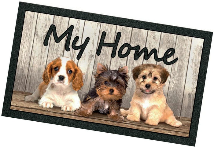 Zerbino Ingresso 40x70 Asciugapassi Antiscivolo Moderno Made In Italy Dis.C