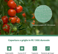 Serra da Giardino Inverno, Mini Serra per Orto e Piante con Telaio in Acciaio, Porte a Cerniera Arrotolabili, Telo in PE, Ideale per Giardino e Balcone, 100 x 50 x 170 cm, Verde