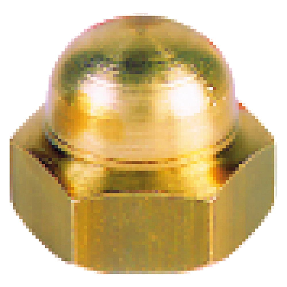 DADO CIECO ESAGONALE M 8- 500 pezzi  - BricoGo