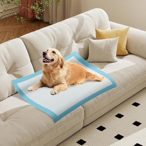 Tappetini Assorbenti per Cani, Tappetini da Interno ed Esterno per Animali Domestici a 6 Strati a Prova di Perdite, Asciugatura Rapida, Monouso per Urine, per Cagnolini (90 x 90 cm)