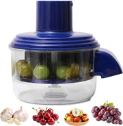 Schiacciafrutta automatico a pulsante unico, realizzato in acciaio inossidabile, è un schiacciafrutta elettrico per frutta, uva, verdure, aglio e altri accessori da cucina.