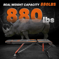 Panca Palestra Pieghevole - RATTANTREE - Panca da allenamento regolabile per tutto il corpo, stabile, chiusura veloce, per allenare la forza, sit up, bench