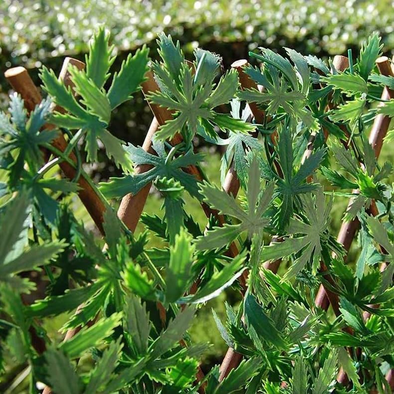 Siepe Artificiale Estensibile Foglie 3D Recinto 100x200 Cm Separè Divisore Traliccio Legno