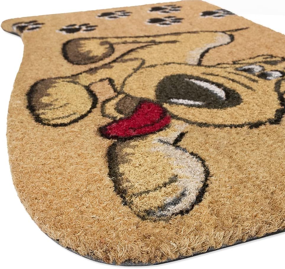 Zerbino Cocco 40x75 cm CANE Retro Gomma Antiscivolo Tappeto Moderno Porta Ingresso Entrata
