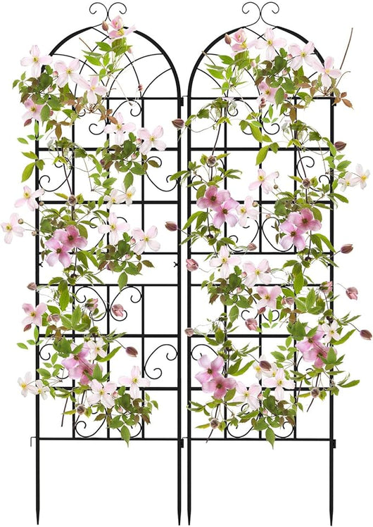 Traliccio da Giardino in Metallo 180 x 50 CM, Set di 2/4 Pannelli di Recinzione da Esterno per Piante Rampicanti, Decorazione Esterna per Giardino, Cortile e Patio (2 Pannelli)