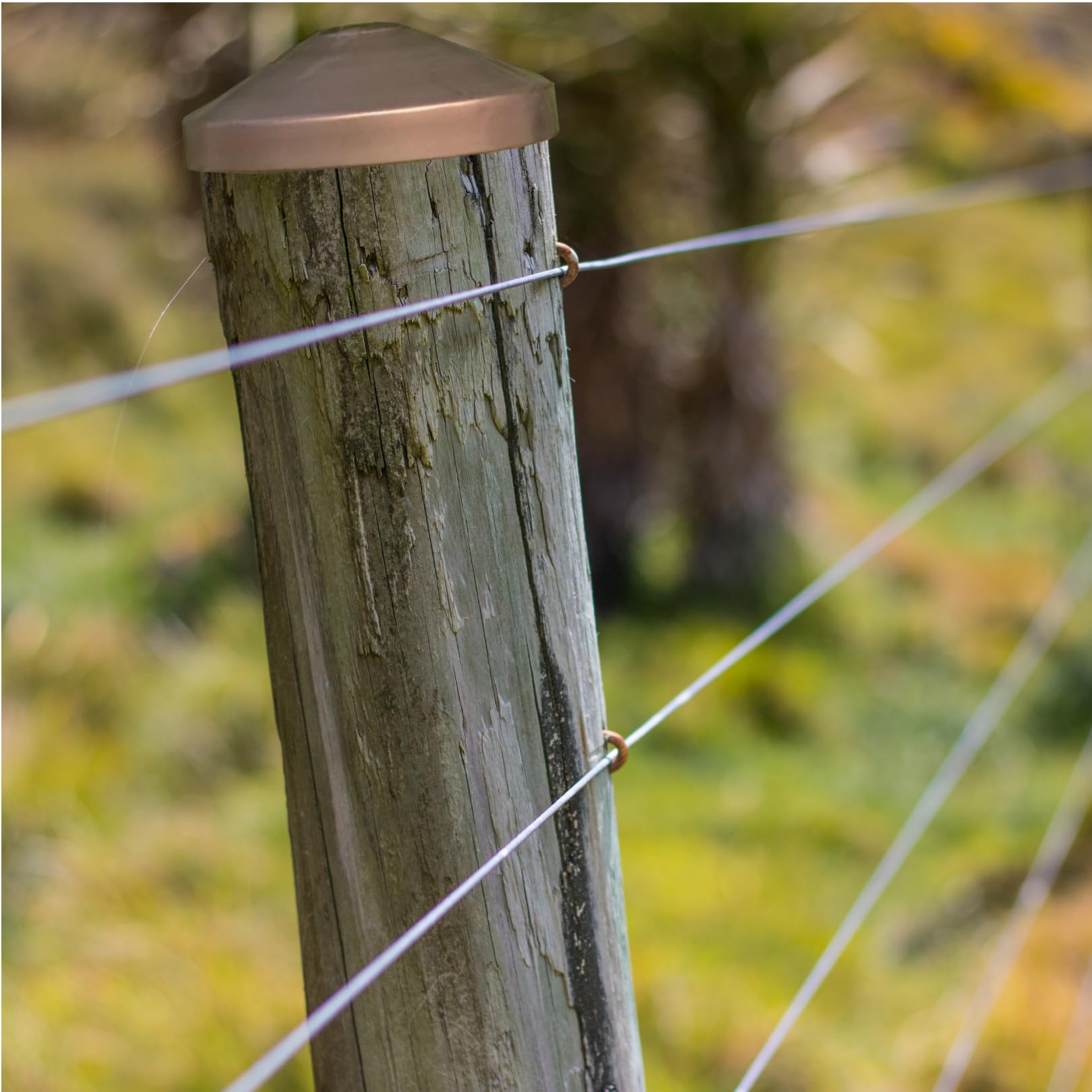Copripalo Pali per Recinzioni rotondi, Tappo per Pali in Rame ø120 mm, Copertura Pali in Legno per Recinzione