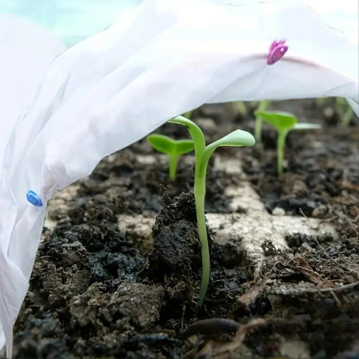 Tessuto Ortoclima Telo Piante in Tessuto Non Tessuto 30 g/m2, Copripiante da Gelo 2,4x10 m, Protezione Piante Inverno