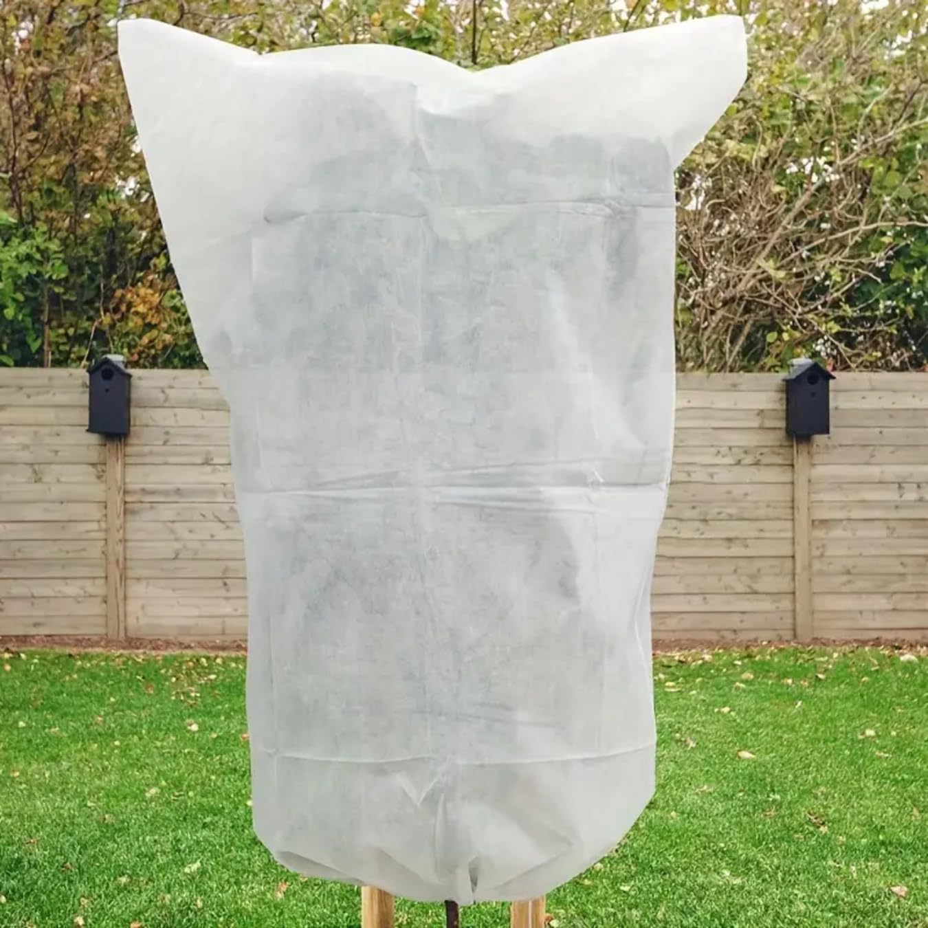 Cappuccio Protezione Piante Inverno 6 Pezzi da 70x80 cm, Telo Antigelo per Piante in Tessuto non Tessuto, Copertura Piante Inverno 17g/m2