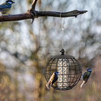 Mangiatoia per Uccellini da Esterno Antiscoiattolo, Mangiatoia per Uccelli Selvatici in Metallo Resistente, Ideale per Giardino, Balcone e Terrazza, Capacità 3 KG