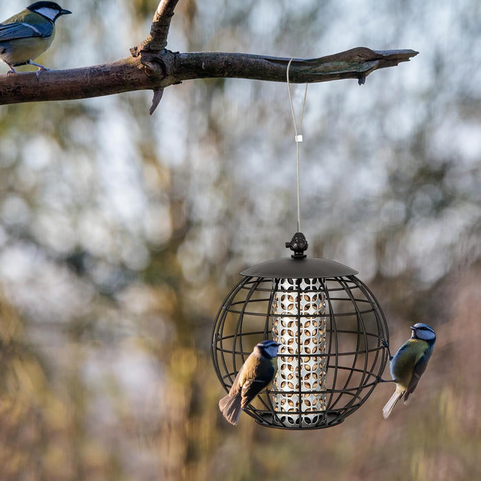 Mangiatoia per Uccellini da Esterno Antiscoiattolo, Mangiatoia per Uccelli Selvatici in Metallo Resistente, Ideale per Giardino, Balcone e Terrazza, Capacità 3 KG