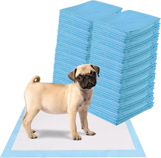 Tappetini Igienici Grandi per Animali, Traverse Animali a 5 Strati, Assorbe Bene Senza Perdite (60 x 60 cm 200 Pezzi)